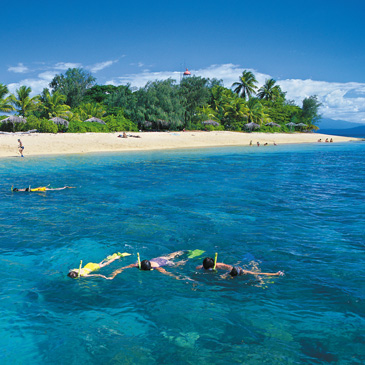 Low Isles snorkeling