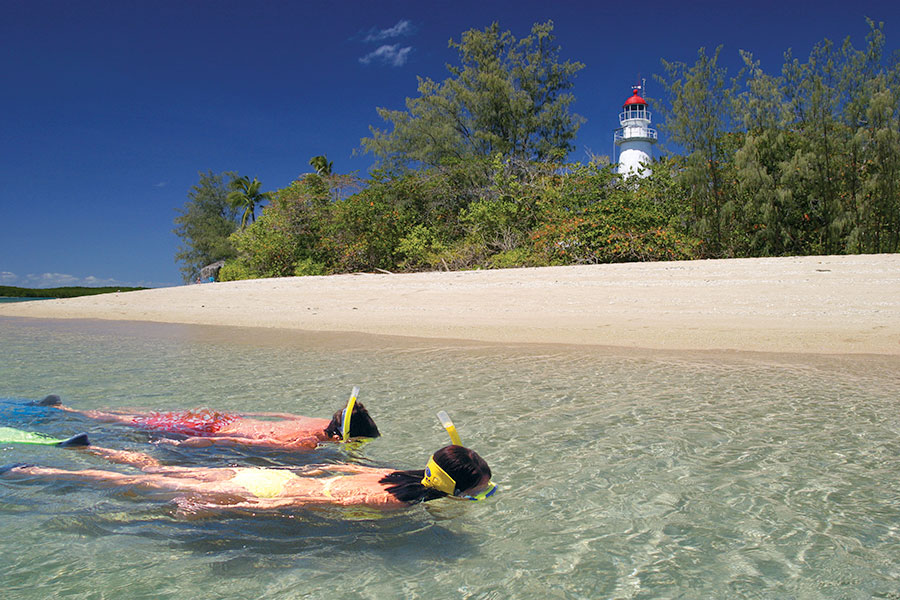 wavedancer snorkellers low isles