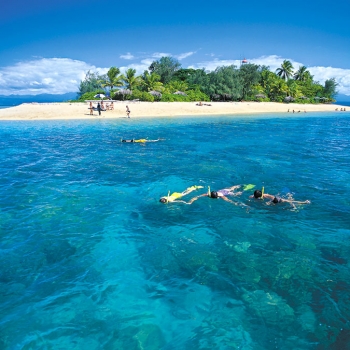 Wavedancer Snorkelers Low Isles